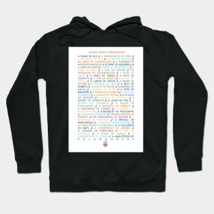Animal Group Terminology - Coloured Text Edition Hoodie